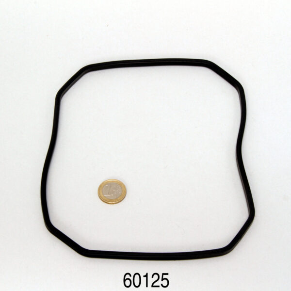 JBL CP e1500 Pump Head Rubber gasket