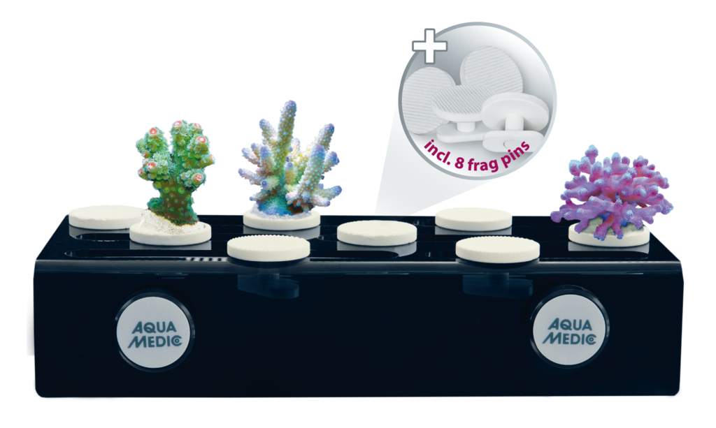 AM230.50 Aqua Medic Frag board mag - nosač za koralje