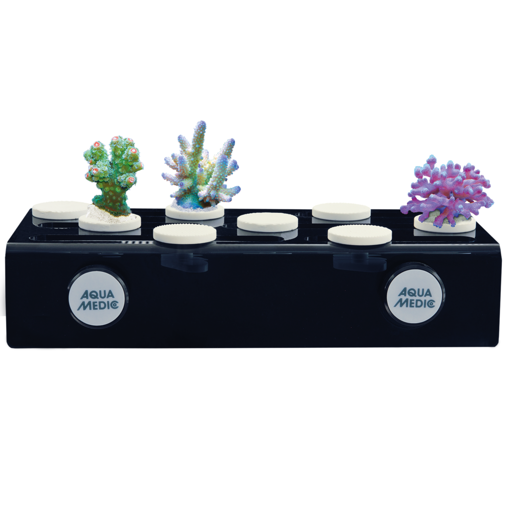 AM230.50 Aqua Medic Frag board mag - nosač za koralje