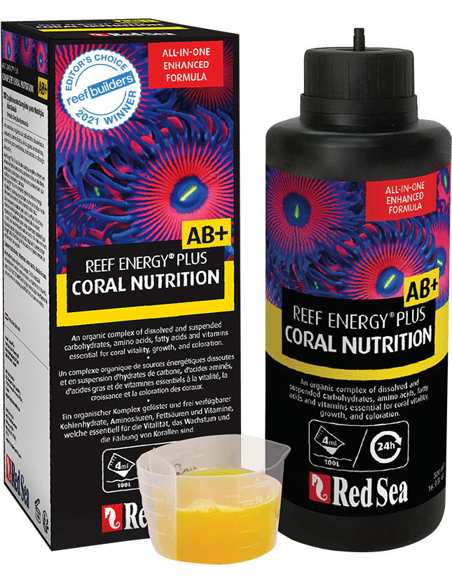 Reef energy AB