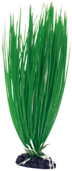 A8011934 PLASTIČNO BILJE M 18cm ACORUS