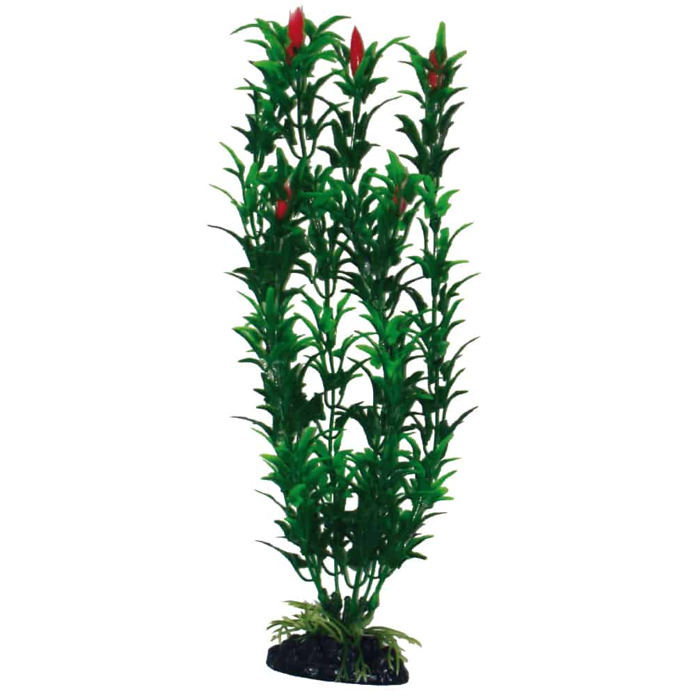 Plastično bilje Egeria Flower bicolor