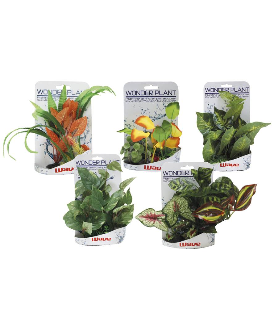 A8011077 Plastično Bilje Wonder plant E 15-25cm
