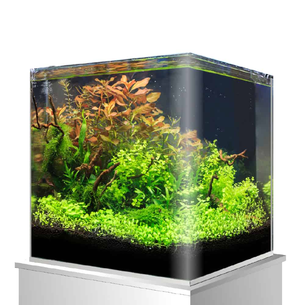 A2001312 W Akvarij 25x25x30cm staklo Nano Amtra