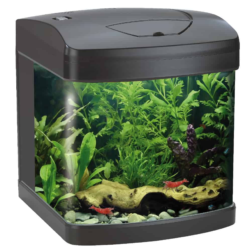 Amtra akvarij Xcube LED crni 26L