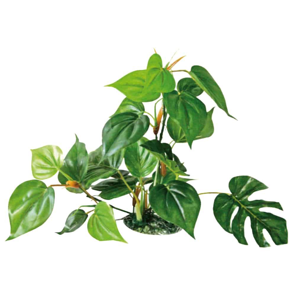 PLASTIČNO BILJE L 30cm ANUBIAS svileno